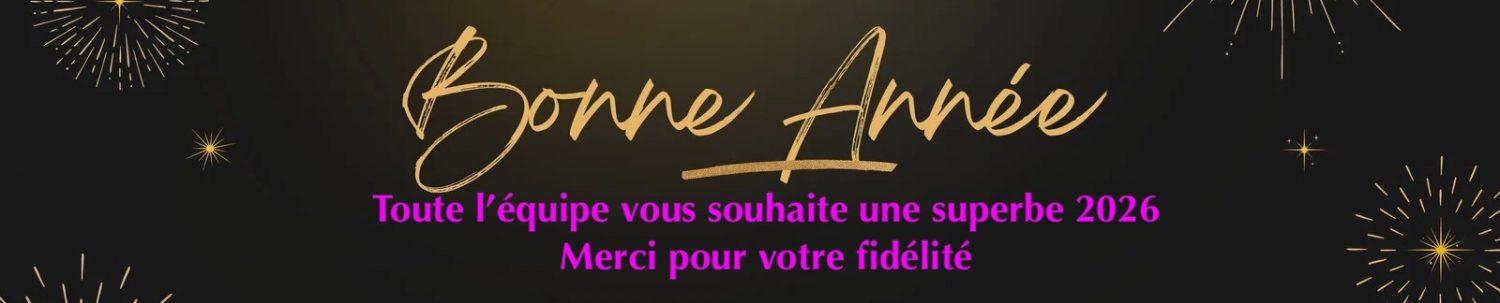 Année 2026 sécuruté numérique